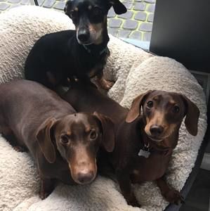 Meet your Posher, Candisse